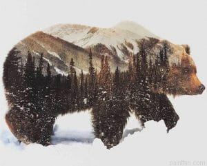Brown Bear Paint By Numbers.png