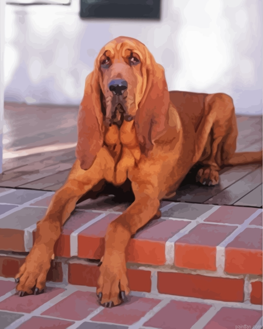 Brown Bloodhound Paint By Number.png