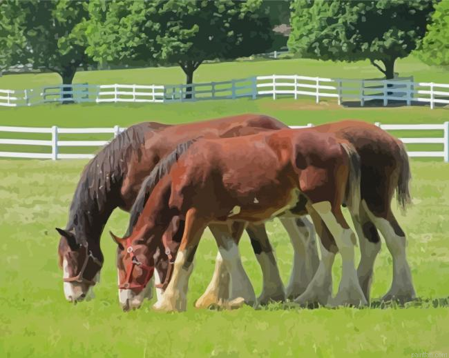 Brown Clydesdales Paint By Numbers.png