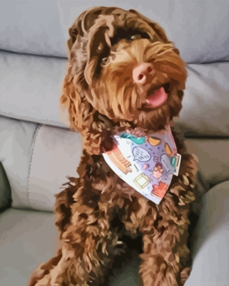 Brown Cockapoo Dog Paint By Numbers.png