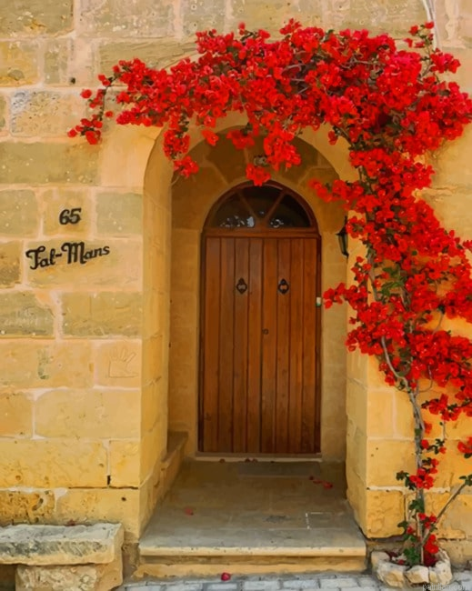 Brown Door With Red Flowers New Paint By Numbers.png