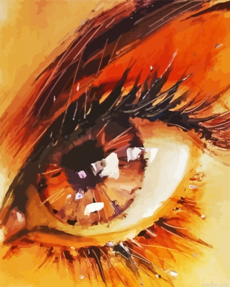 Brown Eye Paint By Numbers.png