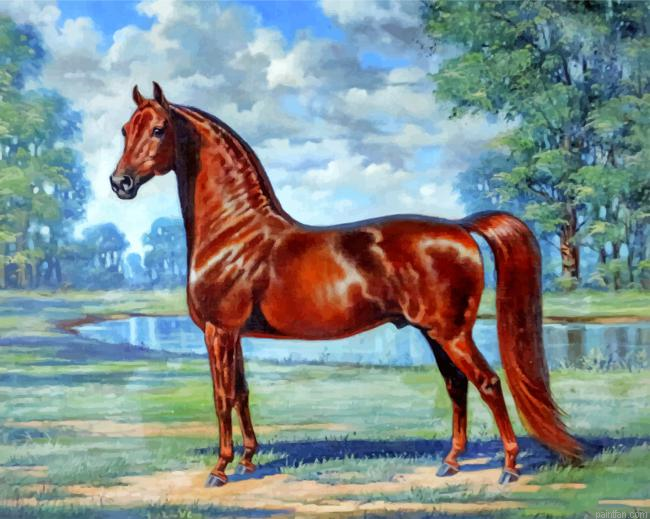 Brown Horse Paint By Number.png