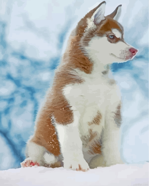 Brown Husky Snow Paint By Number.png