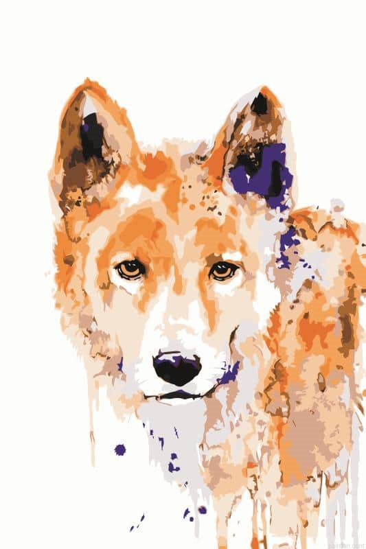Brown Wolf Paint By Numbers.png