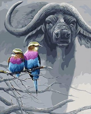 Buffalo And Birds Paint By Numbers.png