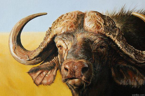 Buffalo Animal Paint By Numbers.png