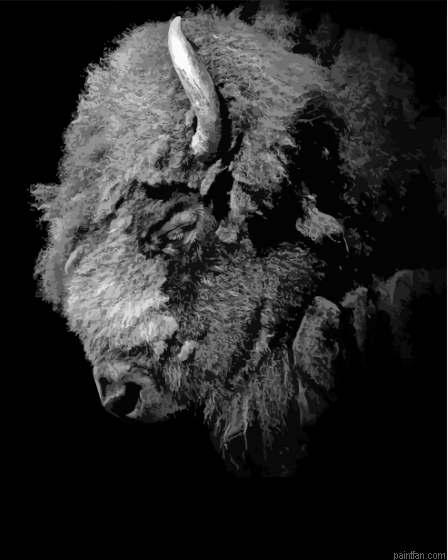 Buffalo Black And White Portrait Paint By Numbers.png