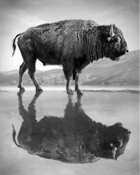 Buffalo Reflection Paint By Numbers.png