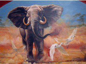 Bull Elephant Paint By Numbers.png
