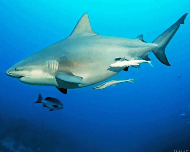 Bull Shark Paint By Numbers.png