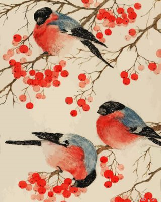 Bullfinch Birds Paint By Number.png