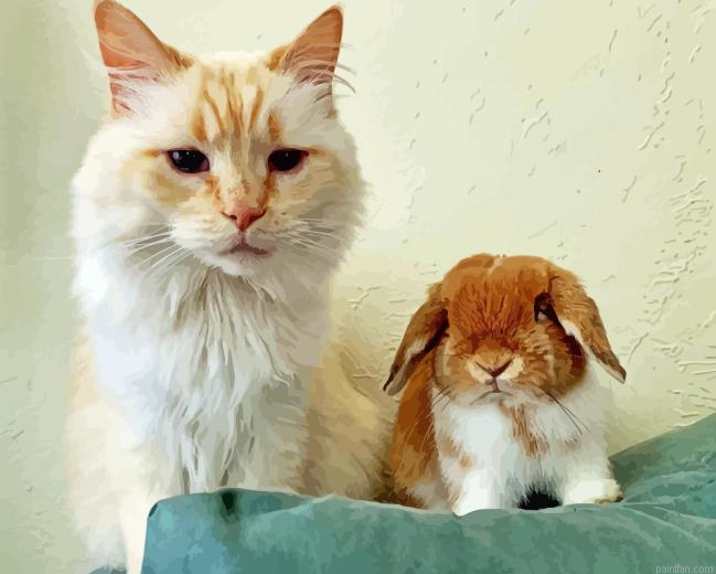 Bunny With Cat Paint By Numbers.png
