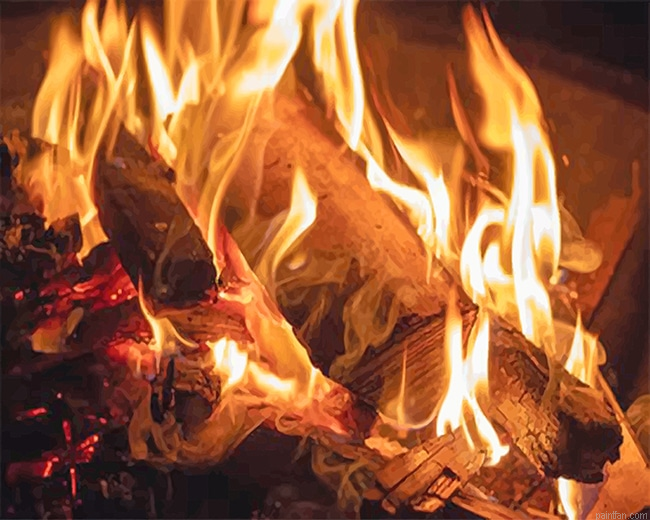 Burning Wood New Paint By Numbers.png