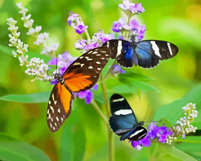 Butterflies And Flowers Paint By Numbers.png
