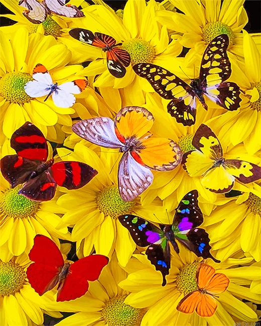 Butterflies Yellow Flowers New Paint By Numbers.png