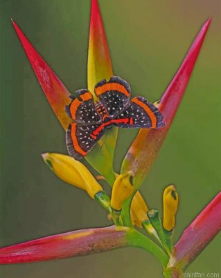 Butterfly And Bird Of Paradise Flower Paint By Number.png