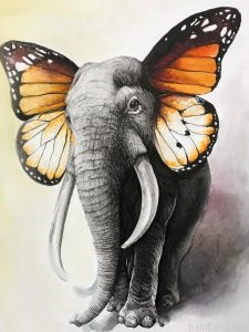 Butterfly Elephant Paint By Numbers.png