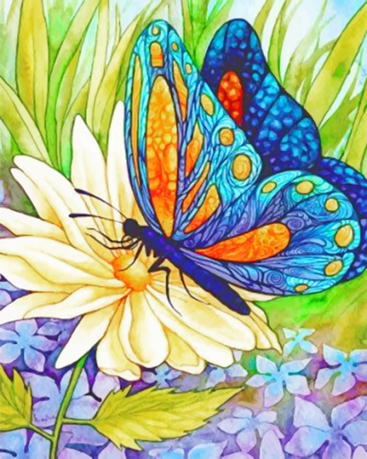 Butterfly Insects Paint By Numbers.png