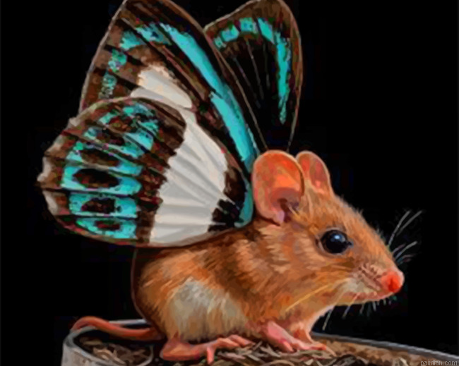 Butterfly Mouse Paint By Numbers.png