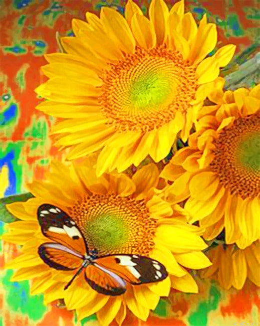 Butterfly On A Sunflower Flowers Paint By Numbers.png
