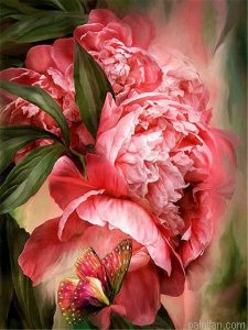 Butterfly Peony Paint By Numbers.png