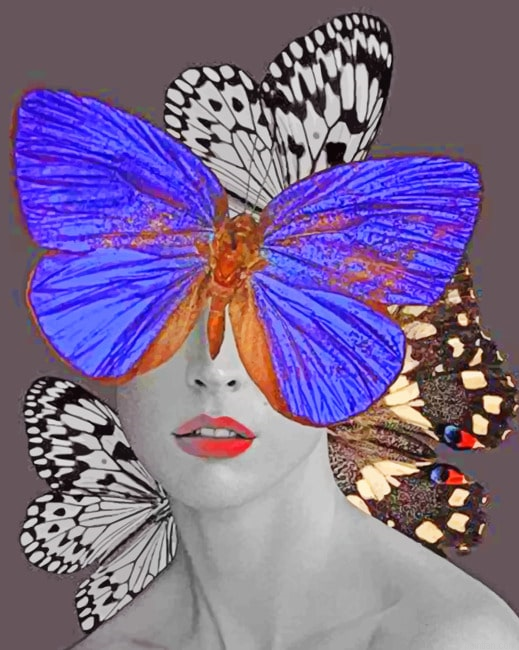 Butterfly Woman Aesthetic Paint By Numbers.png