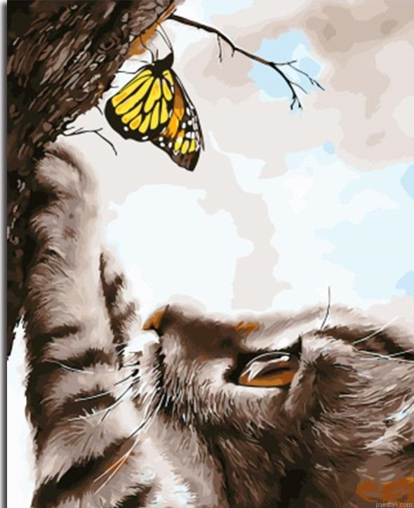 Butterfly And Cat Paint By Numbers.png