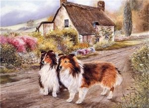 Cabin Dogs Paint By Numbers.png