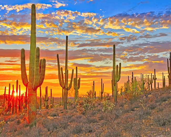 Cactus Arizona Desert New Paint By Numbers.png