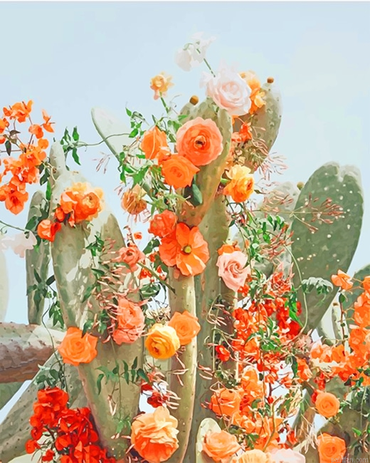 Cactus Flower Aesthetic New Paint By Numbers.png