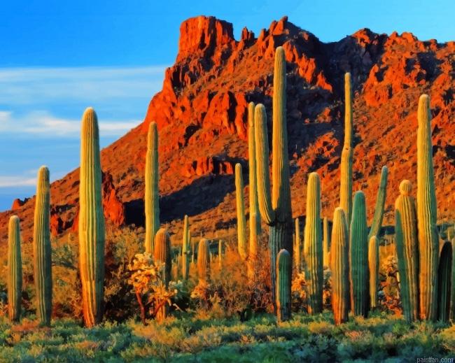 Cactus Near Mountain New Paint By Number.png