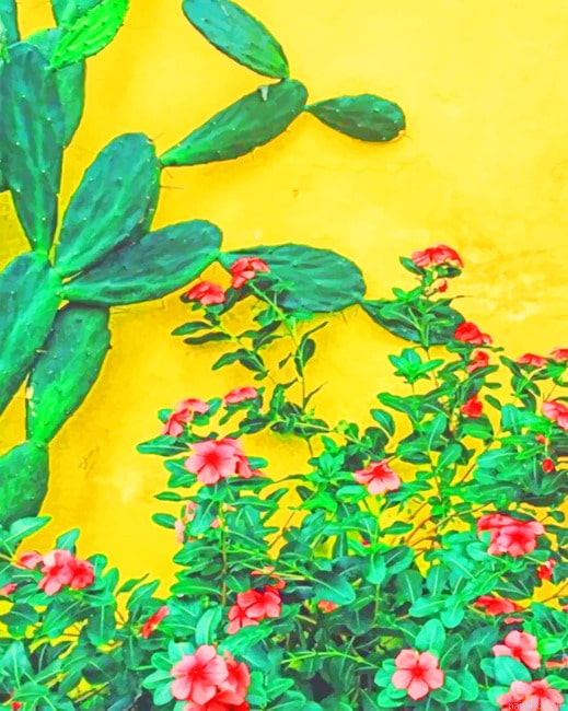 Cactus Plants Paint By Numbers.png
