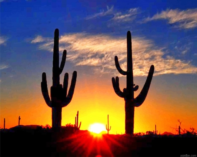 Cactus Sunrise New Paint By Numbers.png