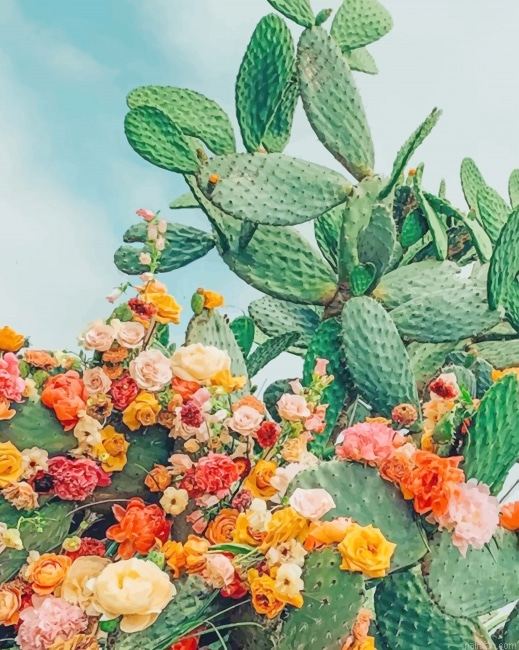 Cactus With Flowers New Paint By Number.png