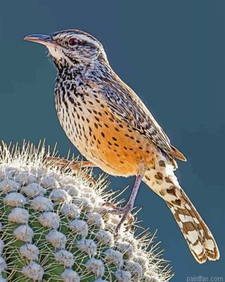 Cactus Wren Paint By Number.png