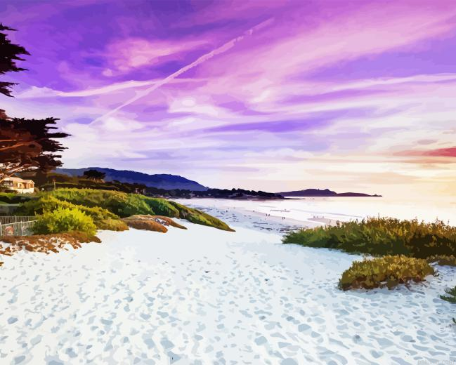 California Beach Paint By Numbers.png