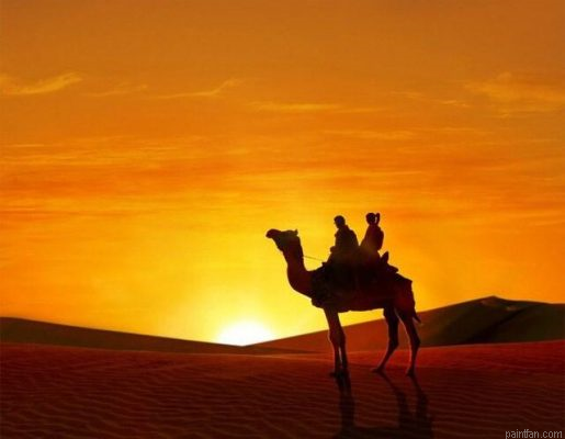 Camel In Desert Paint By Numbers.png