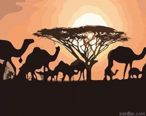 Camels Sunset Paint By Numbers.png