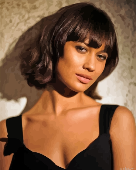 Camille Quantum Of Solace Paint By Numbers.png