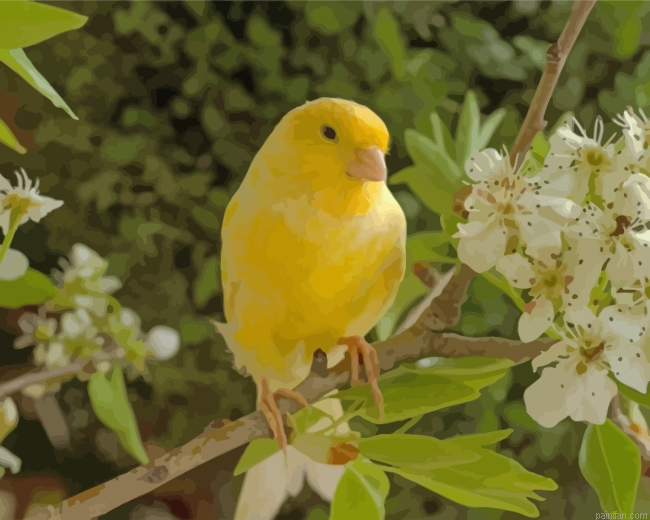 Canary Bird And Flower Paint By Number.png