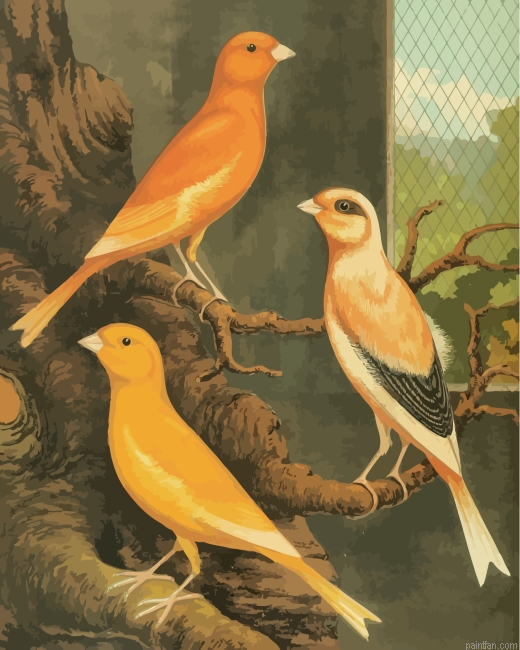 Canary Birds Paint By Number.png