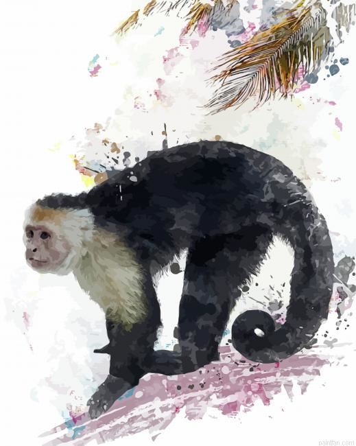 Capuchin Monkey Paint By Numbers.png