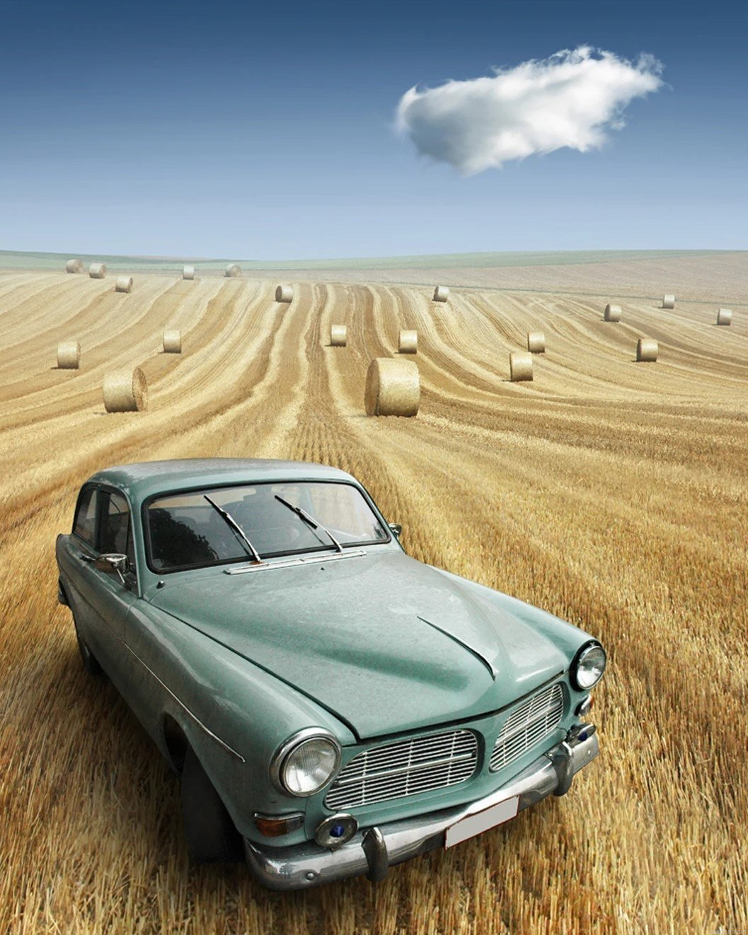 Car In Field Paint By Numbers.png