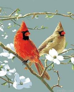 Cardinals Birds Paint By Numbers.png