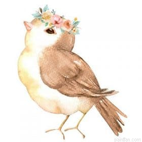 Carolina Wren Paint By Numbers.png