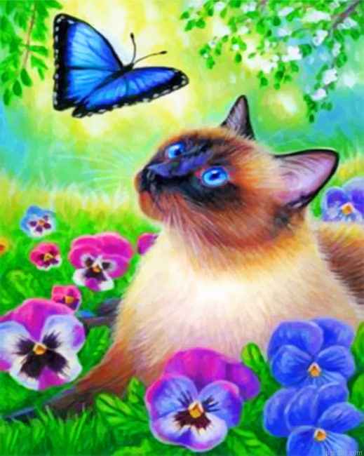 Cat And Blue Butterfly Animals Paint By Numbers.png