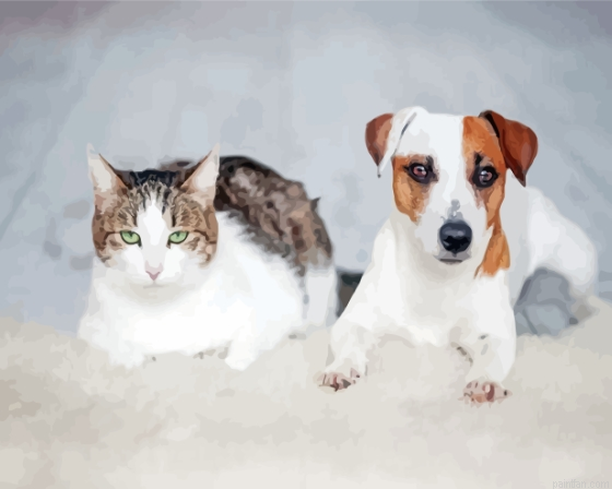 Cat And Jack Russell Paint By Numbers.png