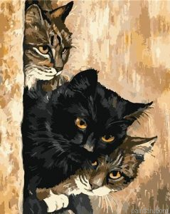 Cat Behind Wall Paint By Numbers.png
