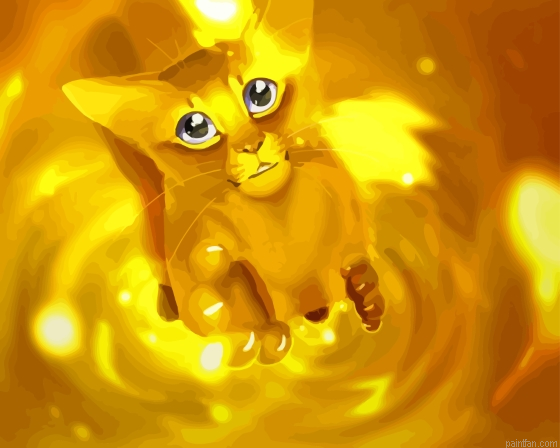 Cat Chasing The Sun Art Paint By Numbers.png